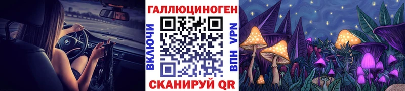 Галлюциногенные грибы Psilocybine cubensis  Купить  Анжеро-Судженск 